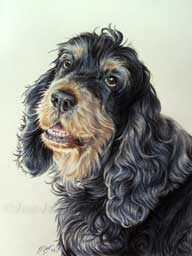 Cocker en portrait artistique